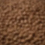 Close-up of Abound dog food kibble showcasing its texture and ingredients