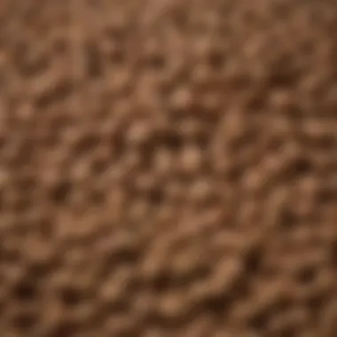 Texture and Ingredients of Abound Dog Food Close-up of Abound dog food kibble showcasing its texture and ingredients