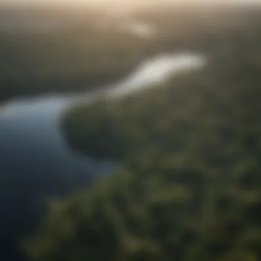 Aerial view showcasing the vast expanse of the Amazon ecosystem.