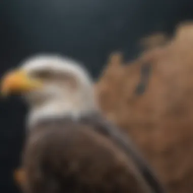 A map depicting the distribution of bald eagle populations across different states.