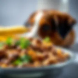 Detailed view of Blue Brand Dog Food ingredients