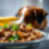 Ingredient Breakdown of Blue Brand Dog Food Detailed view of Blue Brand Dog Food ingredients