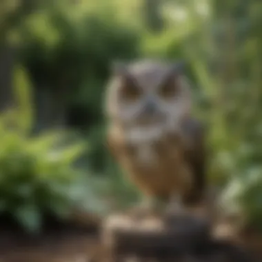 A detailed view of a bobble head owl decoy placed in a garden setting.