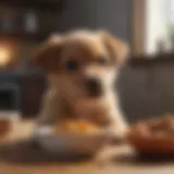 A happy puppy enjoying a bowl of chicken