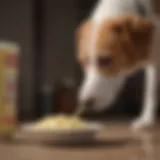 A curious dog sniffing a bowl of mayonnaise