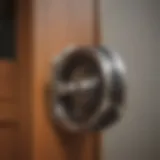 Close-up of collar operated dog door mechanism