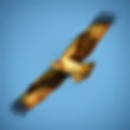 A majestic hawk soaring through a clear blue sky