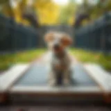 Outdoor dog ramp with side support for small dogs
