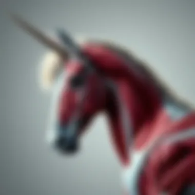 Unicorn Anatomy Diagram Anatomy diagram of a unicorn illustrating muscle structure and proportions