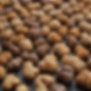 Exploring Different Types of High Calorie Puppy Treats Variety of high calorie puppy treats on display