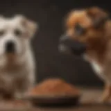 A diverse group of dog breeds showcasing their unique sizes and shapes.
