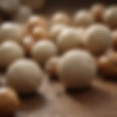 Understanding Types of Bladder Stones in Dogs Types of bladder stones in dogs illustrated for better understanding.