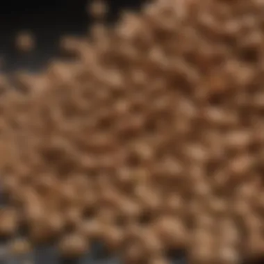 Close-up of dog food ingredients