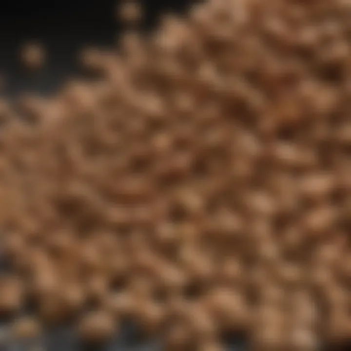 Close-up of dog food ingredients