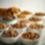Variety of dry dog food formulations arranged in bowls