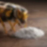 A soothing paste made from baking soda and water applied to a wasp sting.