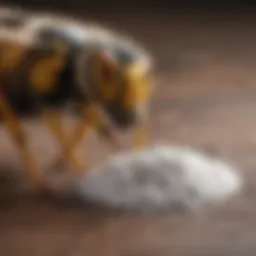 A soothing paste made from baking soda and water applied to a wasp sting.