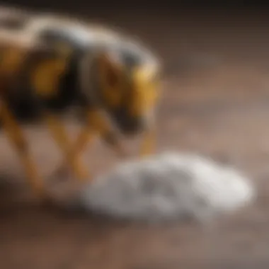 Baking Soda Paste for Wasp Stings A soothing paste made from baking soda and water applied to a wasp sting.
