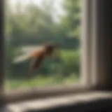 A well-sealed window demonstrating a physical barrier against mosquitoes