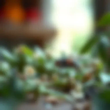 Fresh herbs and essential oils as fruit fly deterrents