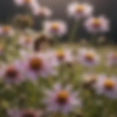 A pollination scene demonstrating honey bees at work among a field of blooming flowers.