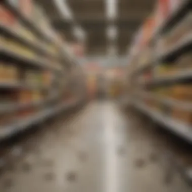 Infestation of insects in a grocery aisle of a Walmart store