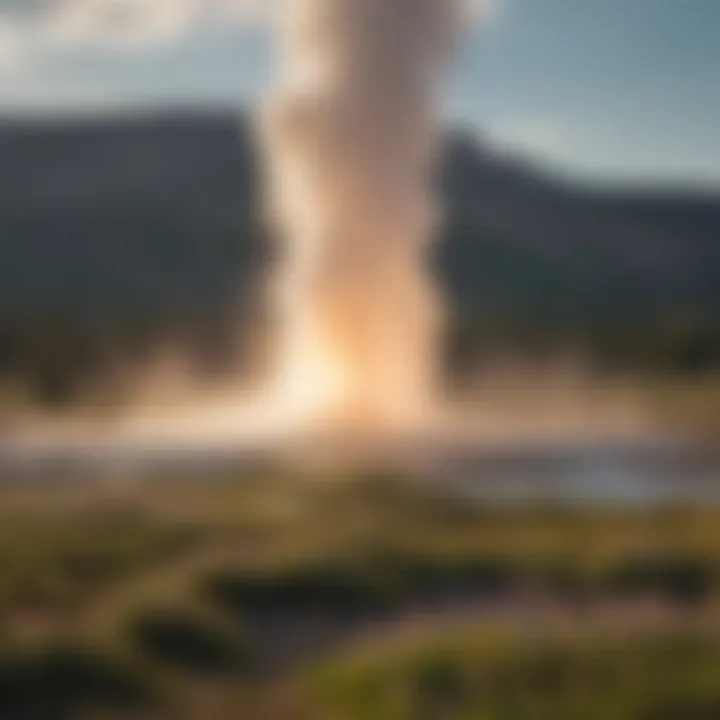 Scenic view of Old Faithful geyser erupting surrounded by blooming wildflowers