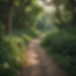 Lush greenery and winding trails in a state park near Kansas City
