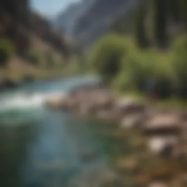 Casting into Pristine Waters Angler casting a line into a pristine river filled with vibrant aquatic life
