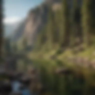 Scenic Fishing Location in the Bighorns Scenic view of a fishing spot surrounded by lush forests and mountain vistas