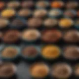Colorful bowls of grain-free dog food