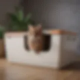 Spacious big litter box with lid showcasing a clean and organized interior