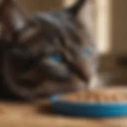 Nutritional breakdown of Blue Buffalo Grain Free Wet Cat Food