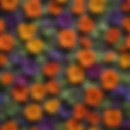 A vibrant assortment of various edible flowers including nasturtiums, pansies, and violets.