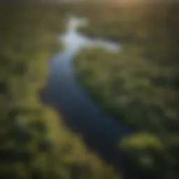 Aerial view of the lush landscapes in Everglades National Park showcasing diverse ecosystems.