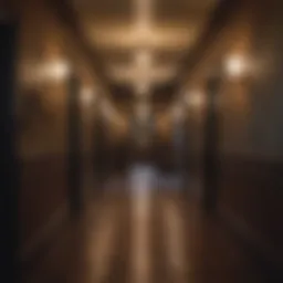 A hauntingly beautiful hallway in a vintage hotel, shrouded in mystery.