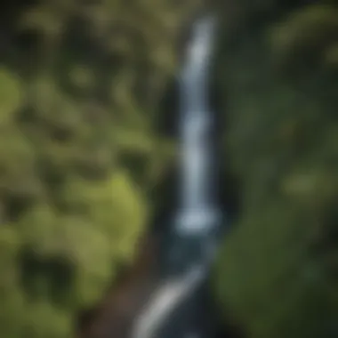 An aerial view of a hidden waterfall, showcasing the intricate network of streams and greenery