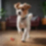 Vibrant display of the Hyper Pet Doggie Tail in an active setting