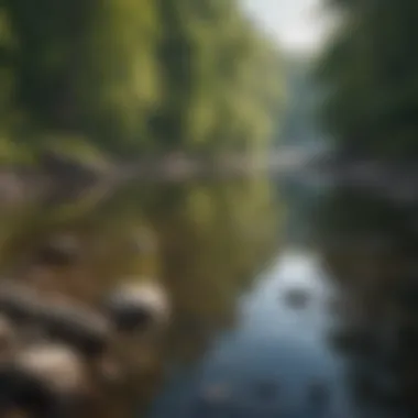 The Tranquility of Michigan Rivers Tranquil river perfect for fishing