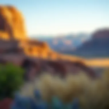 Wildlife and Serenity in Canyonlands Serene environment and wildlife in Canyonlands National Park