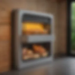 Overview of the Omlet Automatic Chicken Door