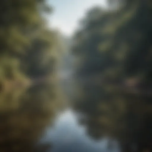 Scenic view of a tranquil fishing spot in South Carolina