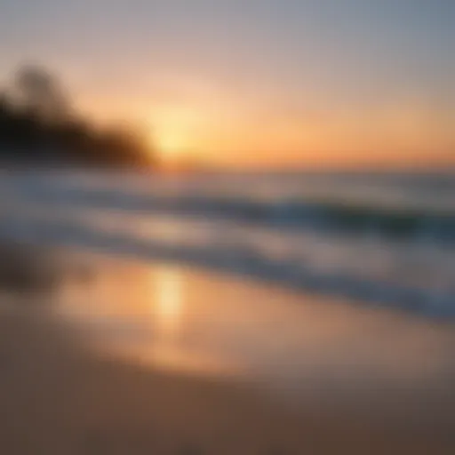 A serene sunrise over the pristine beaches of South Carolina