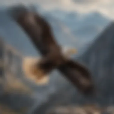 A majestic eagle soaring over a mountain landscape