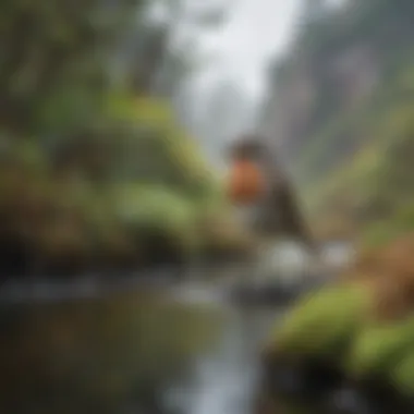 Oregon's Coastal Birding Habitats A tranquil Oregon coastal landscape showcasing diverse bird habitats