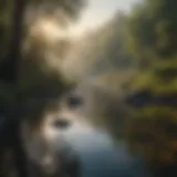 A serene river landscape showcasing diverse aquatic life