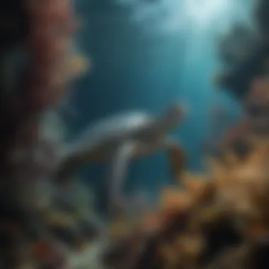 An underwater scene showcasing the intricate relationships among marine organisms