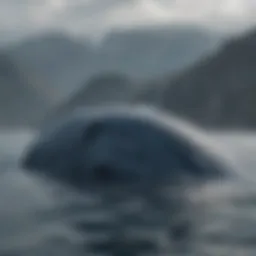 A blue whale swimming majestically in the ocean