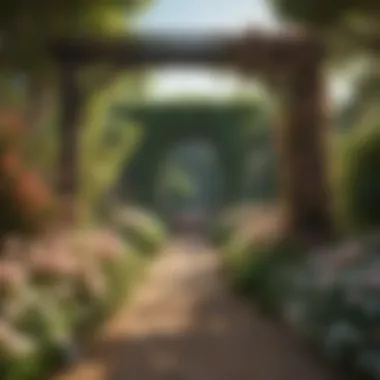 Serene Garden with Rose Trellises A serene garden setting featuring various rose trellises and lush greenery.