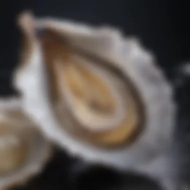 Close-up of a beautifully opened oyster revealing its glistening interior.